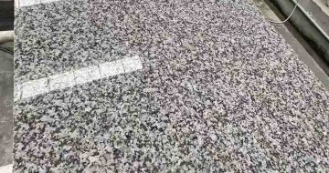 河池 芙蓉白光面