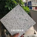 河池 芝麻白荔枝面干挂