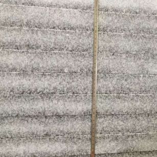 河池 芝麻白成品厚薄均匀