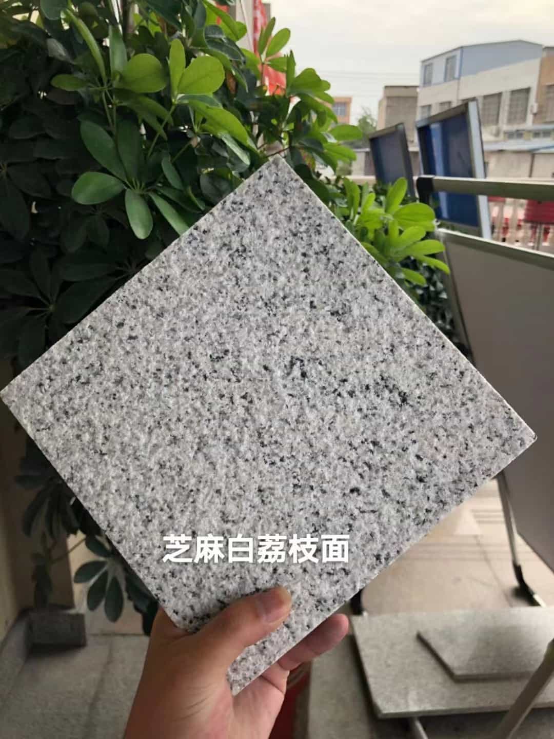 河池 芝麻白荔枝面干挂