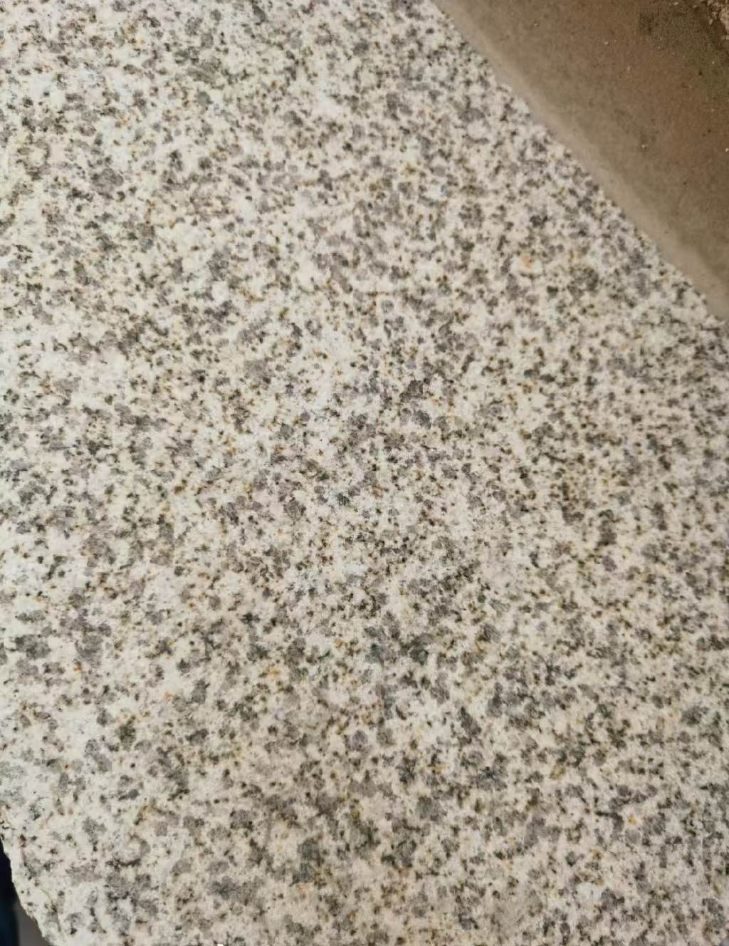 河池 黄金麻中黄光面