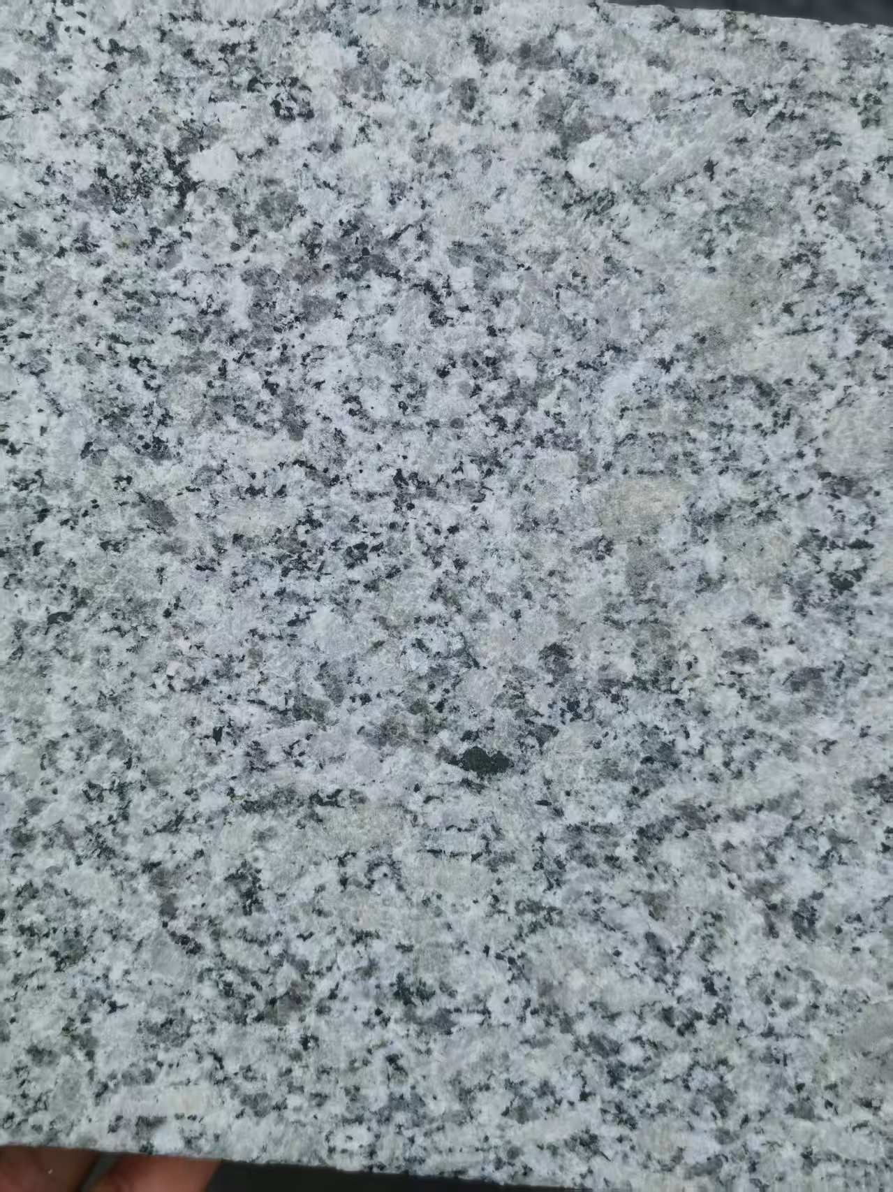 河池 芙蓉白火烧面