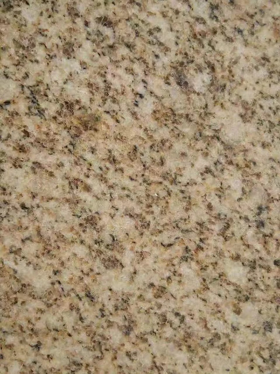 河池黄金麻光面大花